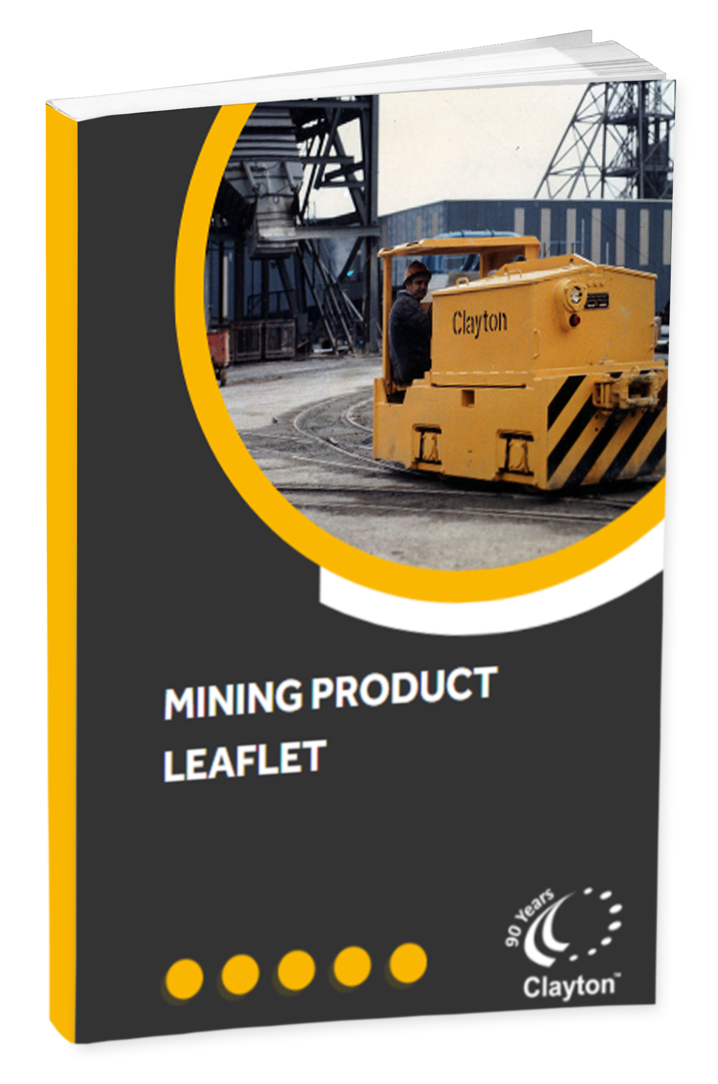 Mining Product Leaflet